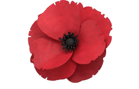 Remembrance Day Png Transparent Images Pictures Photos Png Arts