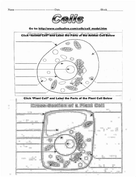 These free animal cell worksheets are great for creating your own science centers in your homeschool or classroom setting. Cells Alive Plant Cell Worksheet Answer Key