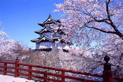 (028) 7108 8889 để được siêu thị nhật bản japana tại tphcm tư vấn miễn phí. Du lịch Nhật Bản - Mùa hoa anh đào