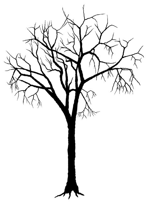 Fall Tree Silhouette At Getdrawings Free Download