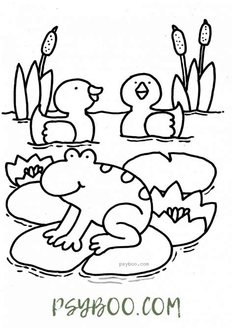 Duck Frog Pond Easy Coloring Page ⋆ Printable Free