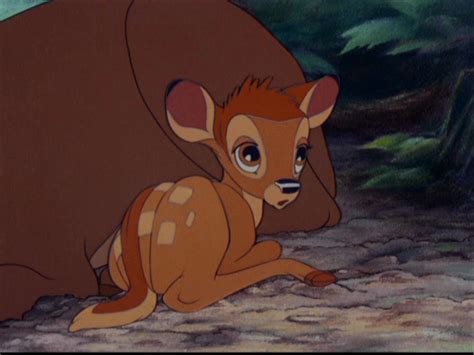Bambi - Bambi Image (5769745) - Fanpop