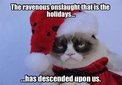 Bah Humbug Grumpy Cat Christmas Grumpy Cat Humor Christmas Memes Funny