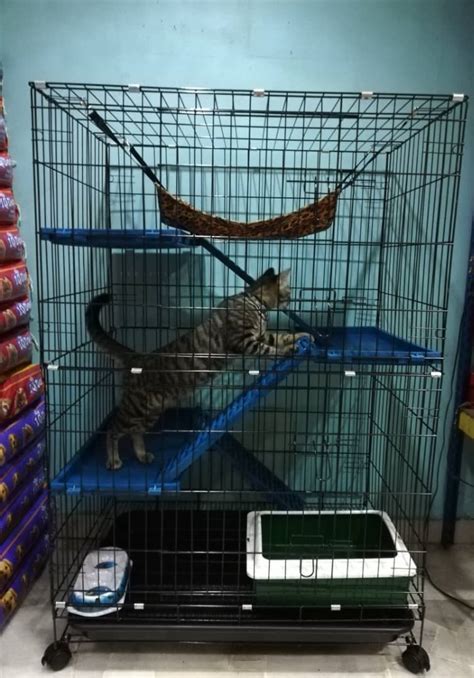 #diy #sangkar #kucingcara membuat sangkar kucing d.i.ysedikit perkongsian tentang cara2 membuat sangkar kucing budget bawah rm200. 12+ Sangkar Kucing DIY Terbaik & Popular 2019 - InfoSantai