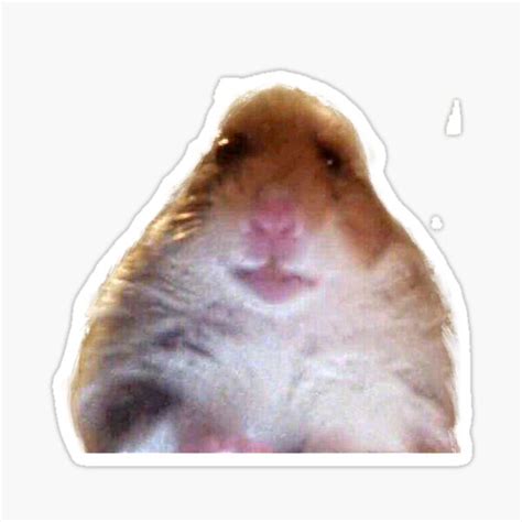 Facetime Hamster Meme Sticker For Sale By Marahaga Redbubble