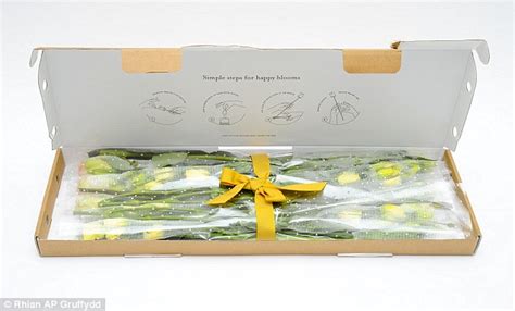When a customer buys a bouquet from other online flower companies, they may be shipped in a cardboard box via ups or fedex. Ingenious flat-pack gifts that can still be delivered in ...