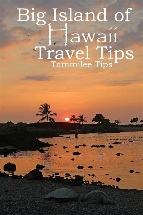 Big Island Of Hawaii Travel Tips Tammilee Tips