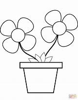 Maceta Flori Colorat Kwiat Desene Vaze Szablon Kolorowanka Druku Doniczce Logopedia Arteterapia Angielski Kolorowanki sketch template