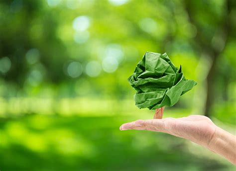 Premios fundación endesa a la ecoinnovación edcativa. Formación de docentes de Educación Ambiental y salidas ...