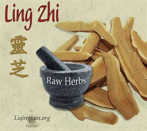 Ling Zhi