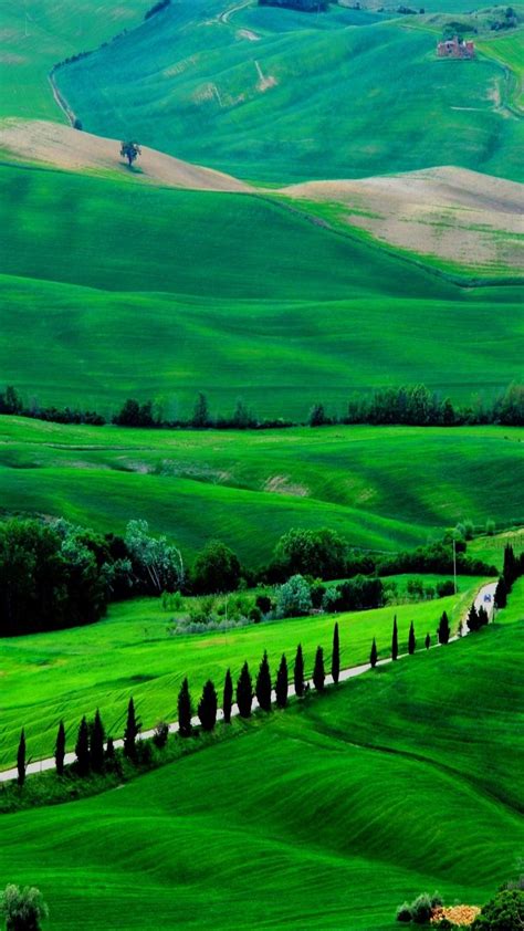 Green View Landscape Wallpaper Scenery Wallpaper