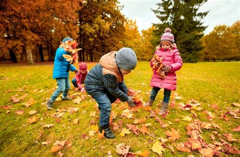 Group Of Children Collecting Leaves In Autumn Park Stock Image Image
