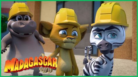 Modo anônimo DreamWorks Madagascar em Português YouTube