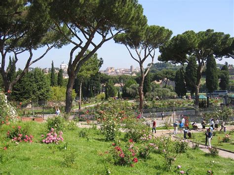 Best Time To See Roses At Roseto Comunale In Rome 2024 Roveme