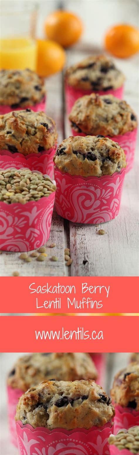 5 high fiber recipes that your toddler will love. Saskatoon Berry Lentil Muffins | Recipe | Dairy free ...