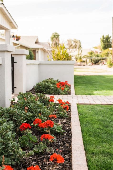 Want To Be The Envy Of Your Street Try These Easy Curb Appeal Boosters
