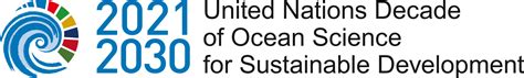Satellite Activity Of The Un Ocean Decade Clean Ocean Laboratory
