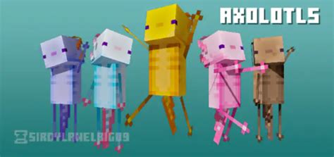Axolotls Skin Pack5 Skins Mods For Minecraft