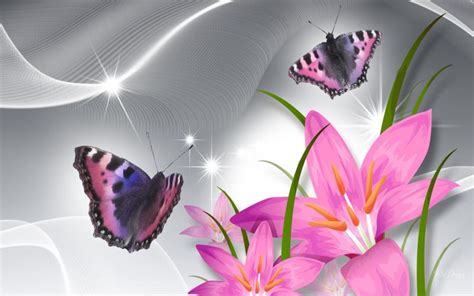 Hd Butterflies Adorve Pink Lilies Wallpaper Download Free 92865