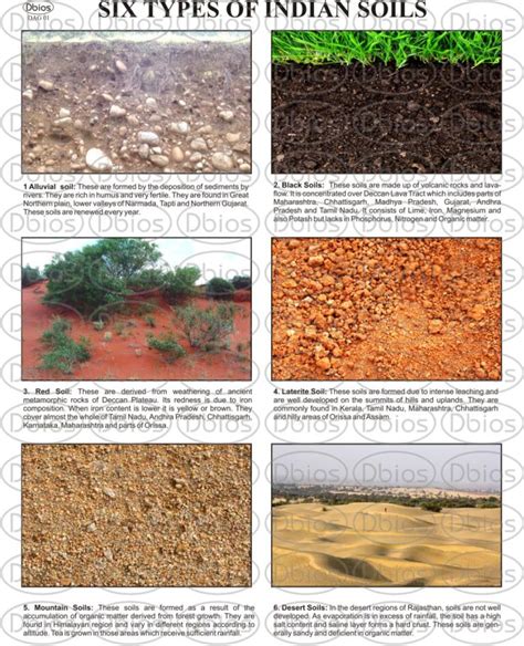 Dag 01 Types Of Soil Dbios Charts