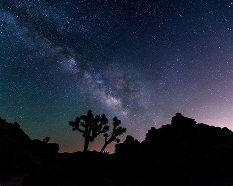 Desert Night Sky Poster By Starry Night