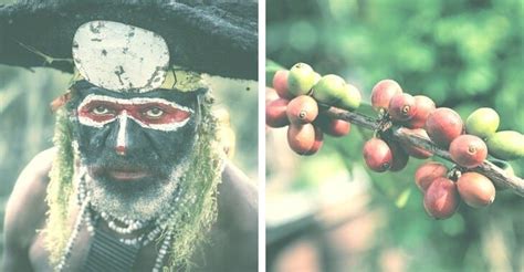 Papua New Guinea Coffee Buying And Brewing Tips