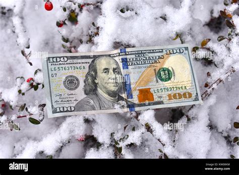 A 100 Dollar Us Bill Laying In The Snow A Cost Of Winter Concept