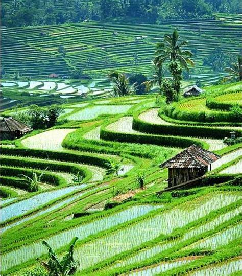 pemandangan terindah  dunia indonesia dinamis
