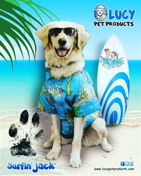Looking for lucy pet in oakland? Lucy Pet Products At BlogPaws | Modern Dog magazine