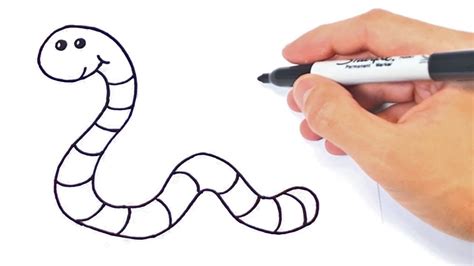 Https://tommynaija.com/draw/how To Draw A Worm