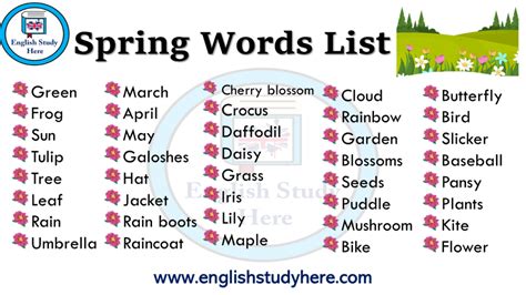 Spring Words List In English English Study Here