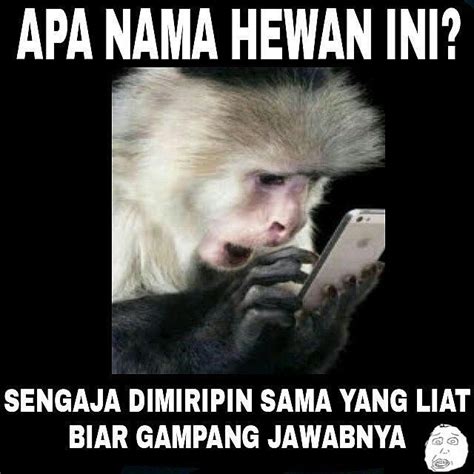 Gambar Lucu Lucu Sekali Ayo Ketawa