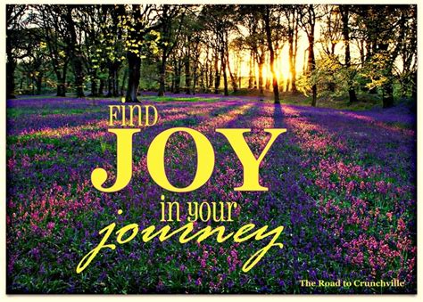 Find Joy In Your Journey Find Your Joy In This Crazy Life Pint