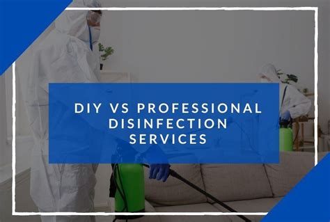 Diy Vs Professional Disinfection Services Things To Know