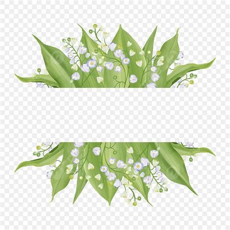 Lily Of The Valley Clipart Transparent Png Hd Clipart Frame With Lily