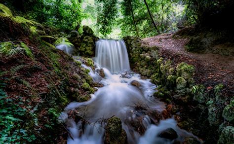 Picture Ireland Tipperary Nature Waterfalls Forests Moss 600x370