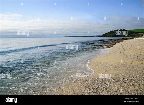Gyllyngvase Beach Falmouth Cornwall England Uk Stock Photo Alamy