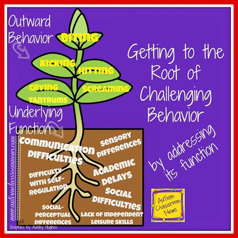 Getting to the Root of Challenging Behavior By Addressing Its Function ...