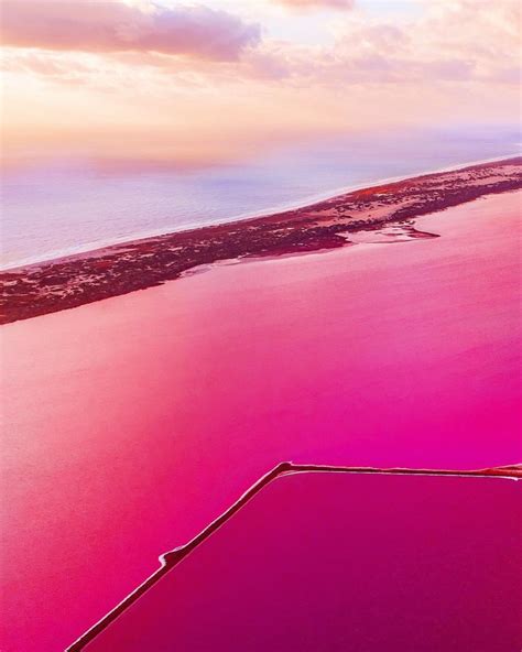 15 Fotos Aéreas Fantásticas Do Lago Rosa Da Austrália Boomo