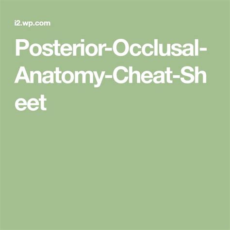 Posterior Occlusal Anatomy Cheat Sheet Pixels My Xxx Hot Girl