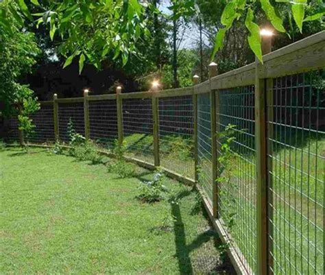 25 Best Cheap Backyard Fencing Ideas For Dogs 3 Diy Dog Fence