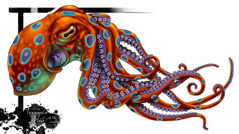 Best Octopus Tattoo Meanings And Ideas Best Tattoo Design