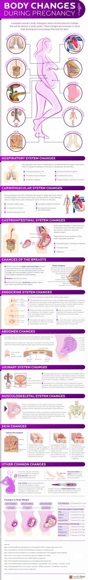 34 Body Changes When Youre Pregnant Infographic
