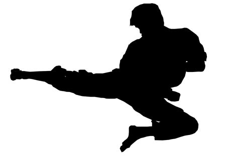Karate Kid Silhouette At Getdrawings Free Download