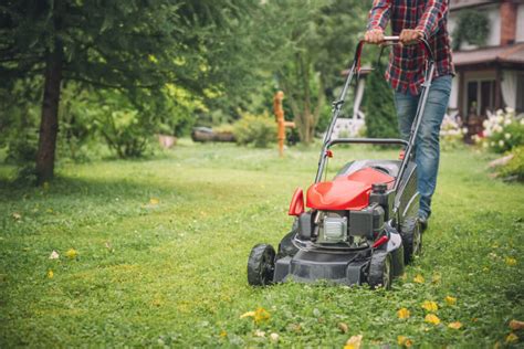 How To Choose The Right Lawnmower Better Lawns And Garden