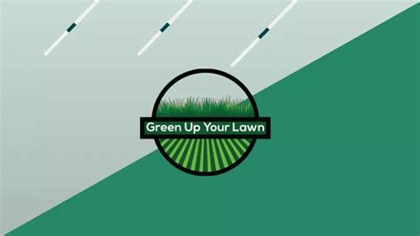 Ppt How To Make Your Grass Green Fast With Some Simple Tips