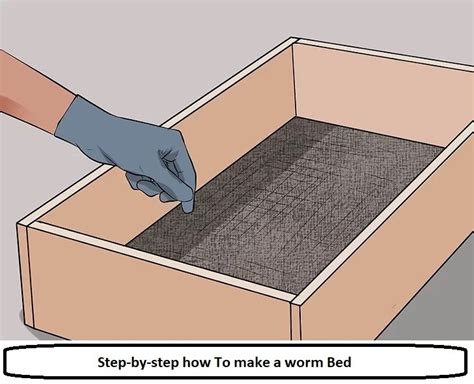 Step By Step How To Make A Worm Bed