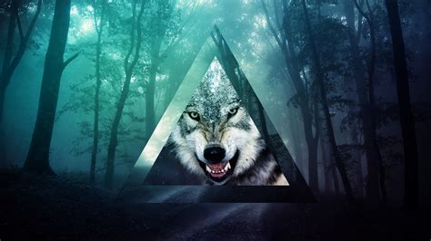Memes Triangle Wolf Forest Wallpapers Hd Desktop And