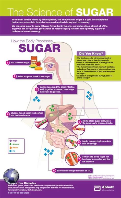 💪fitness What Sugar Does To Your Body Infographic Health Info