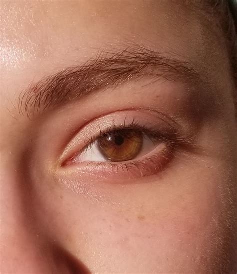 I Was Told Once That Brown Eyes Look Like Jars Of Honey In The Sun I